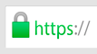 https logo security online
